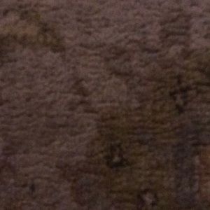 Meet your Posher, Brett